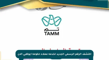 اكتشف الرقم الرسمي الجديد لخدمة عملاء حكومة أبوظبي الآن